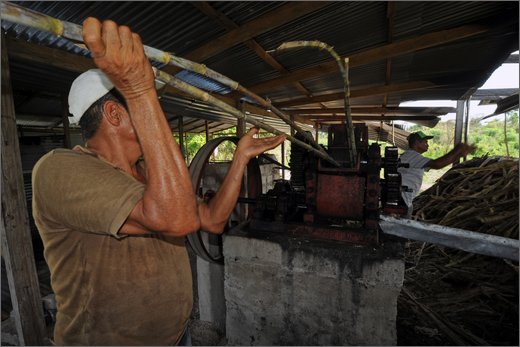 (10)-al trapiche associazione asopamir vicino a caimital per produzione di panela. .jpg