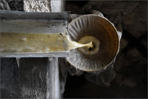 (11)-al trapiche associazione asopamir vicino a caimital per produzione di panela. guarapo.jpg