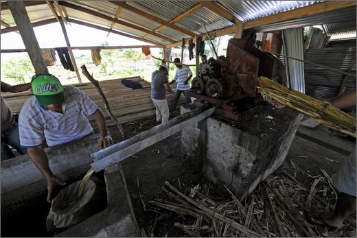 (7)-al trapiche associazione asopamir vicino a caimital per produzione di panela. .jpg