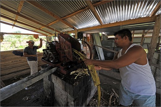 (8)-al trapiche associazione asopamir vicino a caimital per produzione di panela. .jpg