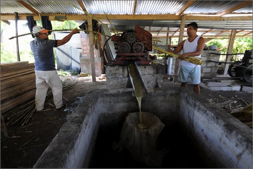 (9)-al trapiche associazione asopamir vicino a caimital per produzione di panela. .jpg
