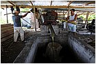 (9)-al trapiche associazione asopamir vicino a caimital per produzione di panela. .jpg