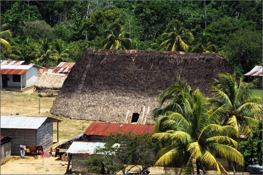 03-dintroni honduras. bari birikaira. bojo.jpg