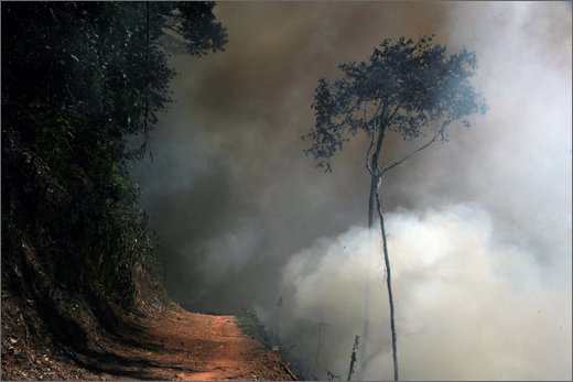 08-da bari verso honduras. incendio per bonificare.jpg
