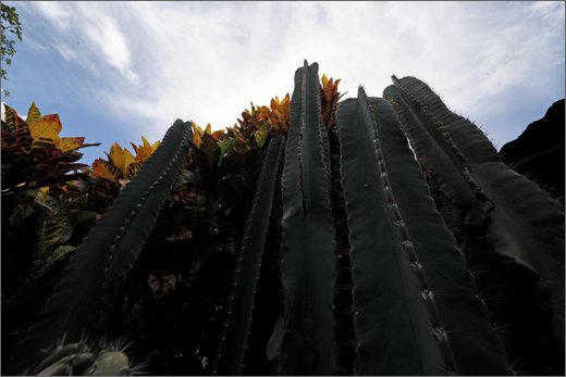 08-la libertad.jpg