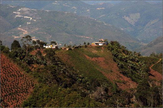 37-la quina. dintorni.jpg