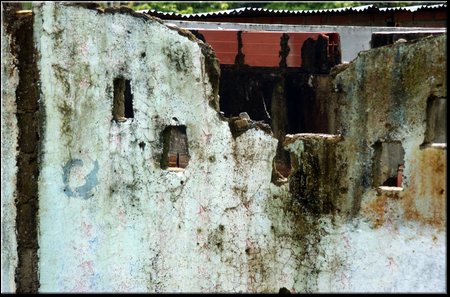 FiloGringo_DSC_0016.JPG