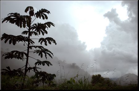 Honduras2_DSC_0172.JPG