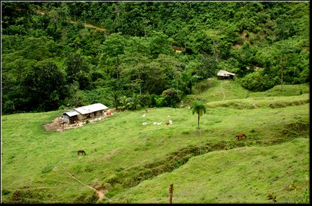 MataDeCana_DSC_0310.JPG