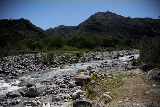 021 - huila. vereda la honda. gigante.jpg